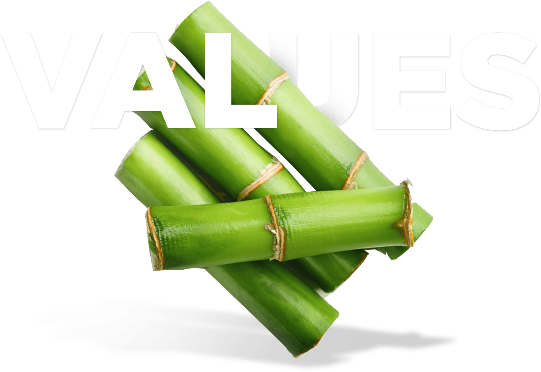 Psychologist for expats